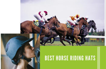 Top 10 Best Horse Riding Hats Reviews With Scores