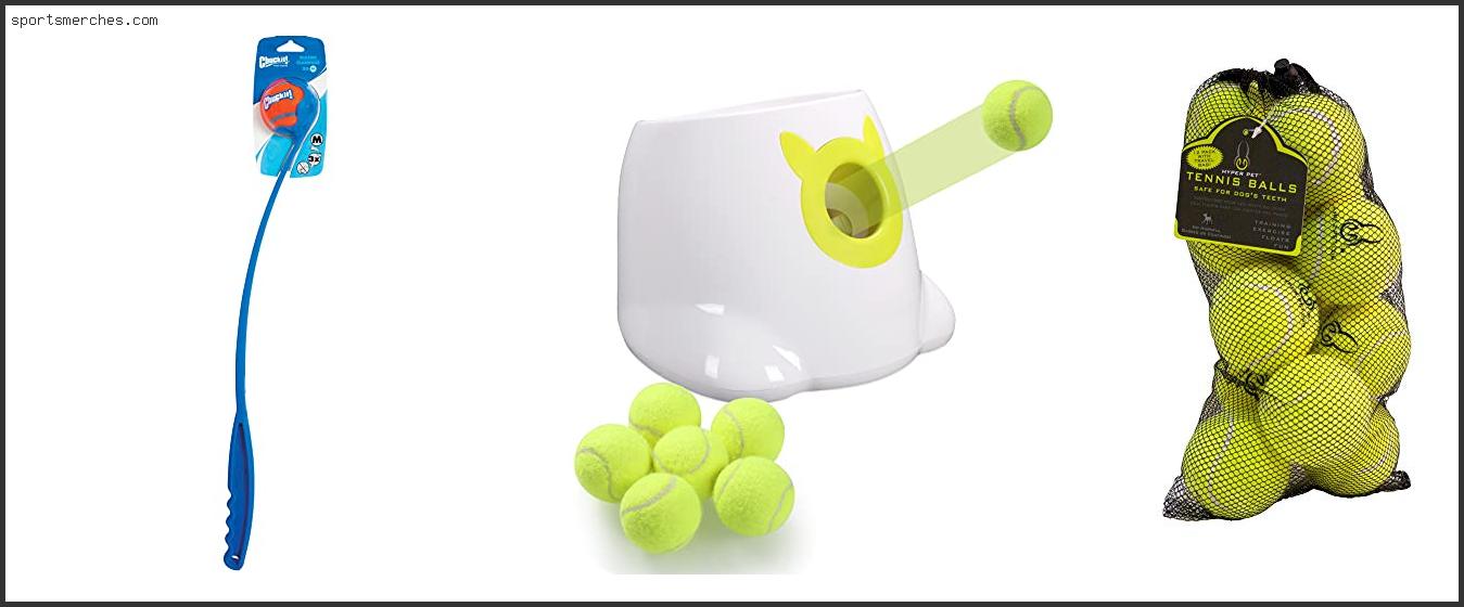 Best Tennis Ball Thrower For Dogs