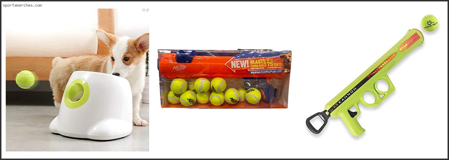 Best Tennis Ball Launcher For Dogs