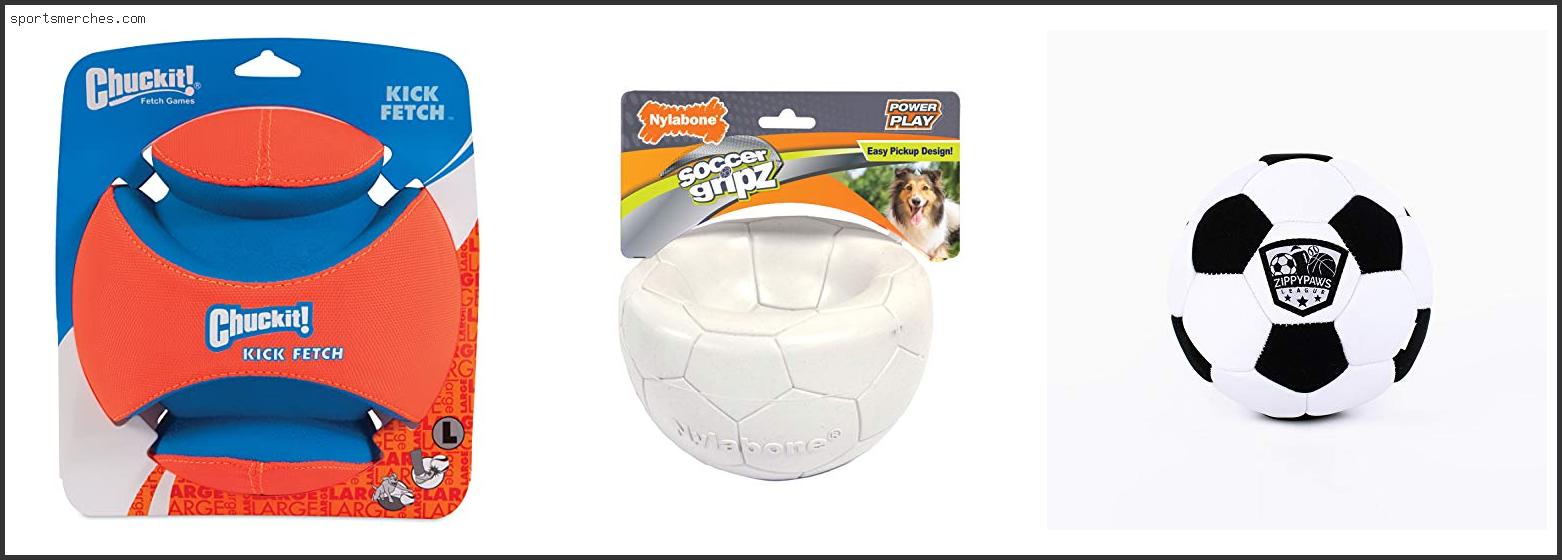 Best Soccer Ball For Dogs