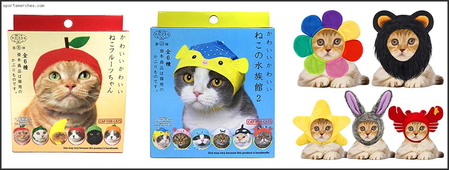 Best Hats For Cats
