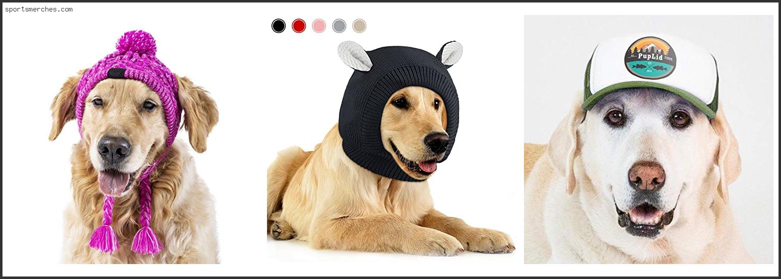 Best Hats For Dogs