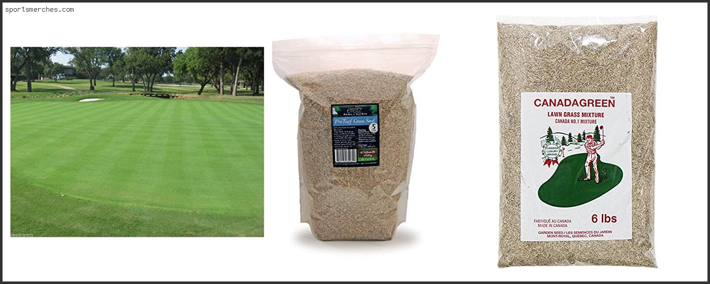 Best Grass Seed For Golf Greens
